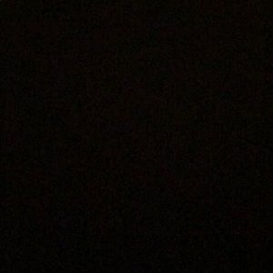 Meet your Posher, Amelia